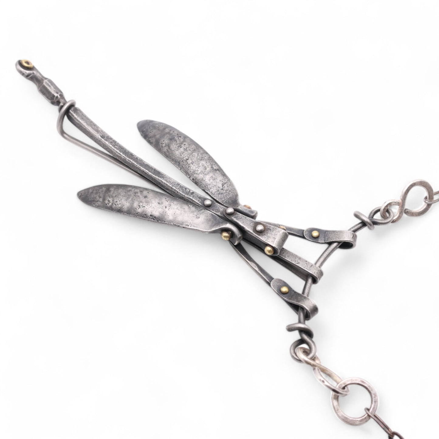 Dragonfly #5