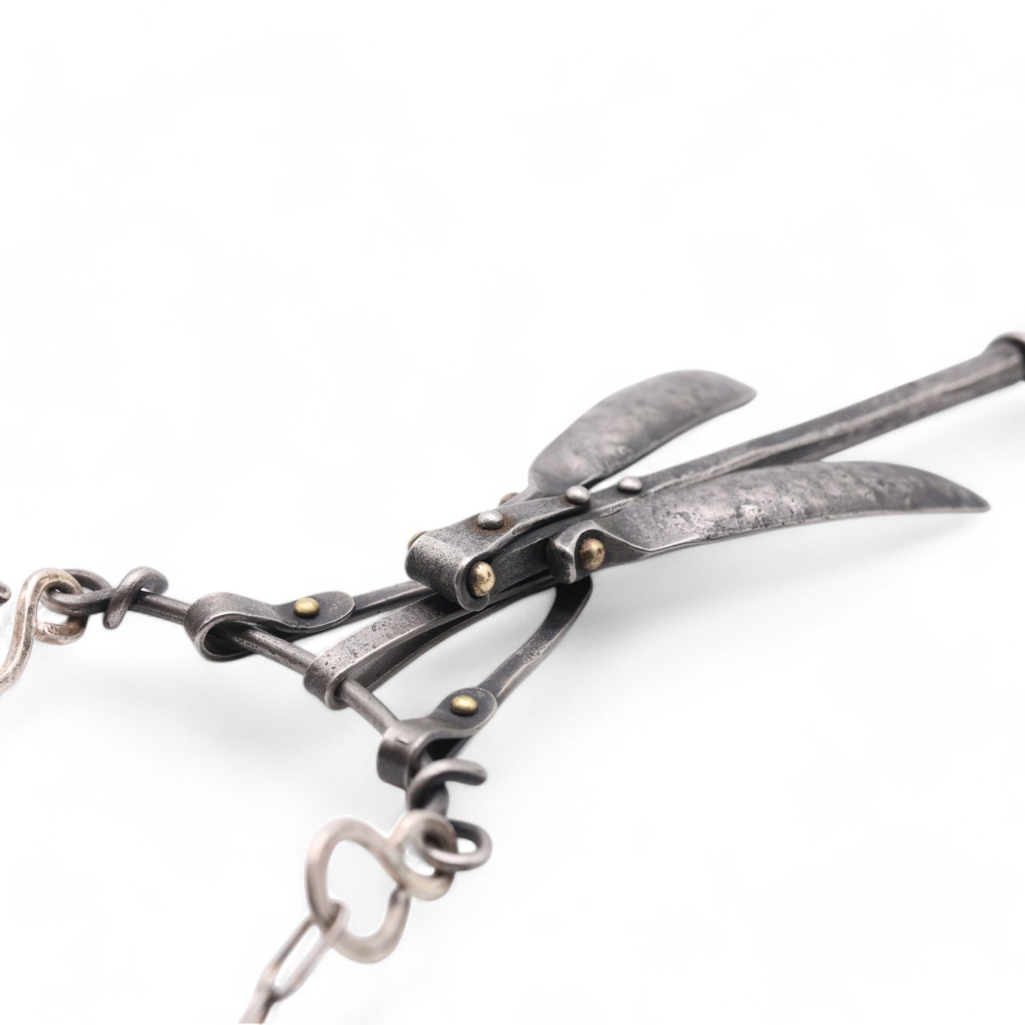 Dragonfly #5
